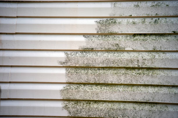 Best Shed Removal  in Elba, AL